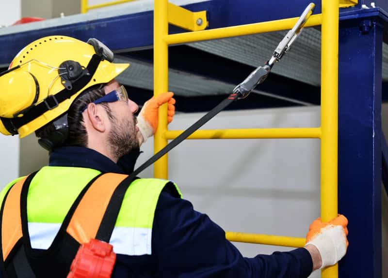 Fall protection harness
